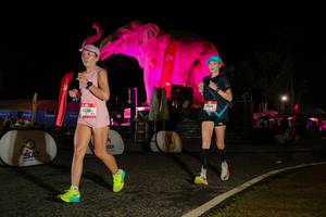 BIB: 
                            <button type="button" onclick="openModal(26534310)" class="btn btn-primary btn-sm float-right btn-popup" data-toggle="modal" data-target=".modal-high-quality">
                        <i class="fas fa-shopping-cart"></i> Add to Cart
                    </button>
                                            <button type="button" onclick="isThisMe(26534310, true)" class="btn btn-success btn-sm float-right btn-popup btn-isme hidden" data-toggle="tooltip" data-placement="bottom" title="นี่คือรูปของคุณใช่ไหม คลิกที่นี่เพื่อเอาเข้าอัลบั้ม">
                        <i class="fas fa-plus"></i> Add to album
                    </button>
                    <button type="button" onclick="isThisMe(26534310, false)" class="btn btn-warning btn-sm float-right btn-popup btn-isnotme hidden">
                        <i class="fas fa-ban"></i> Remove from album
                    </button>